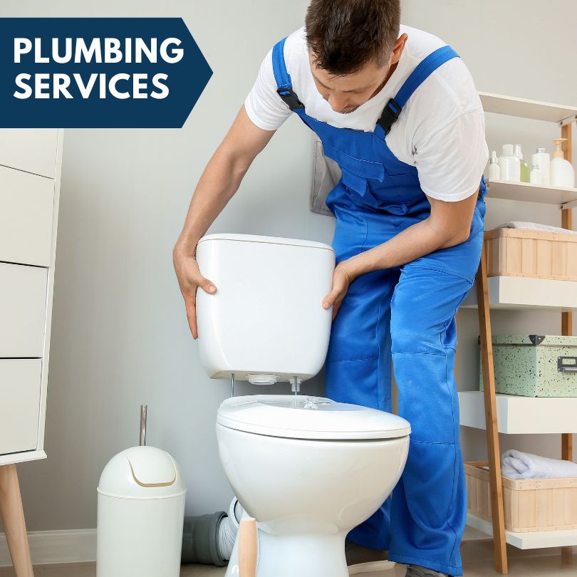Plumbing Company in Goodells, MI